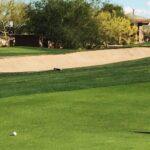 Armana Christianson using the 1 Swing Golf putting tips to improve her short game.